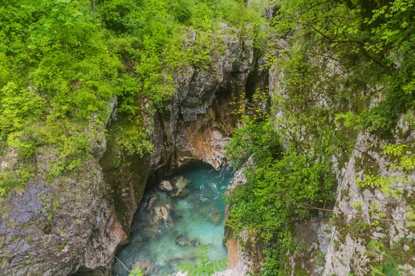 Gola Del Fiume Soca Vicino Villaggio Bovec Slovenia — Foto Stock