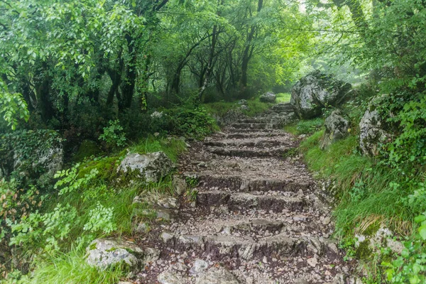 Sentier Randonnée Travers Une Forêt Monastère Ostrog Monténégro — Photo