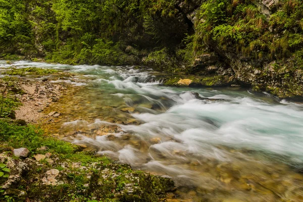 Slovenya Bled Yakınlarındaki Vintgar Vadisinde Radovna Nehri — Stok fotoğraf