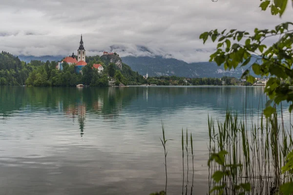 Kilátás Bled Tóra Mária Mennybemenetele Bled Kastély Zarándoktemplomával Szlovénia — Stock Fotó