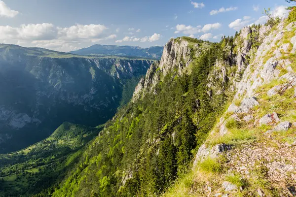 Vista Del Cañón Tara Desde Montaña Curevac Montenegro — Foto de Stock