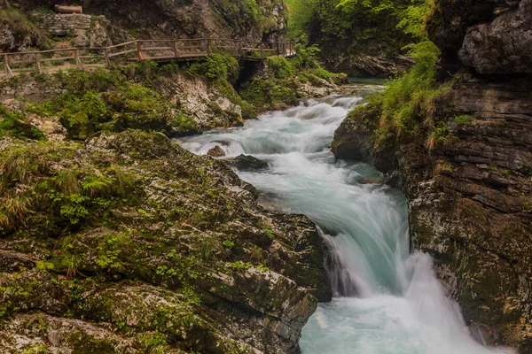 Garganta Vintgar Cerca Bled Eslovenia —  Fotos de Stock