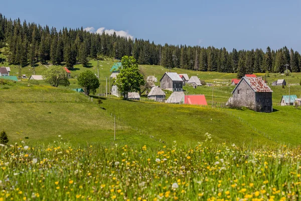 Villaggio Bosaca Nelle Montagne Durmitor Montenegro — Foto Stock
