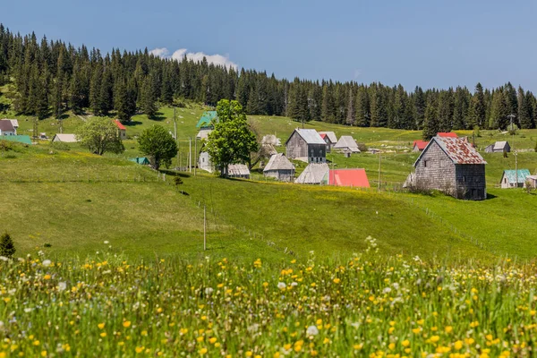 Bosaca Aldeia Durmitor Montanhas Montenegro — Fotografia de Stock