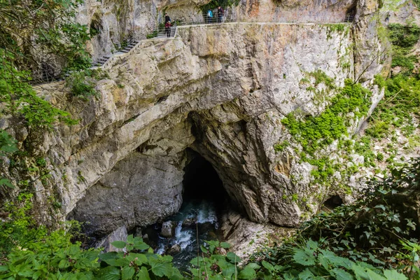 Skocjanske Jame Eslovenia Mayo 2019 Sendero Senderismo Cerca Skocjanske Jame — Foto de Stock