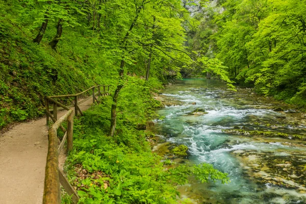Cheile Vintgar Apropiere Bled Slovenia — Fotografie, imagine de stoc