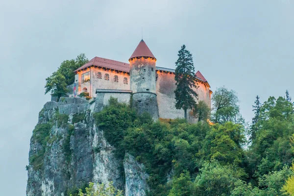 Blejski Grad Bled Castle Slovenia — Stock Photo, Image