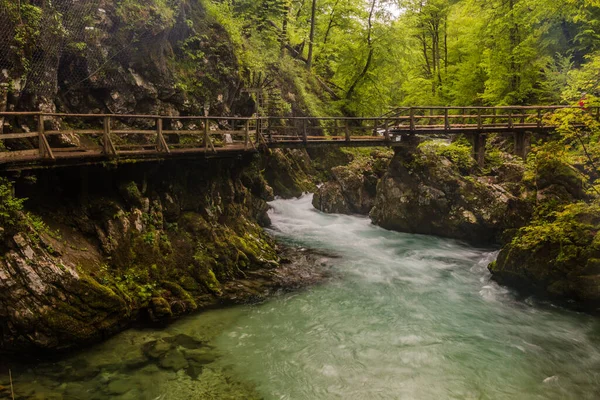 Boardwalk Vintgar Gorge Bled Slovenia — Stock Photo, Image