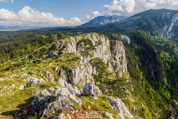 Vista Montaña Curevac Montenegro — Foto de Stock