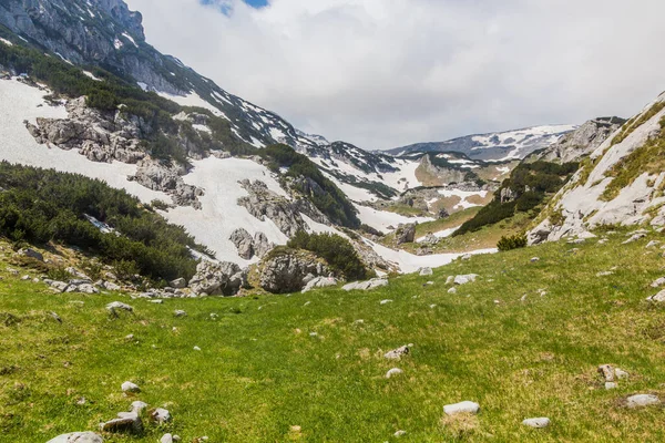 Patches Neve Parque Nacional Durmitor Montenegro — Fotografia de Stock