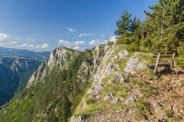Vista Del Cañón Tara Desde Montaña Curevac Montenegro —  Fotos de Stock