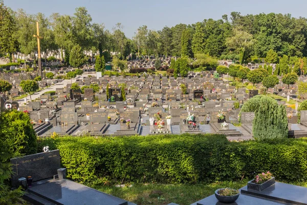 Zagreb Kroatia Czerwca 2019 Widok Cmentarz Mirogoj Zagrzebiu Chorwacja — Zdjęcie stockowe