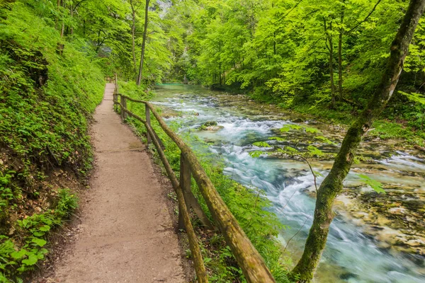 Râul Radovna Defileul Vintgar Lângă Bled Slovenia — Fotografie, imagine de stoc