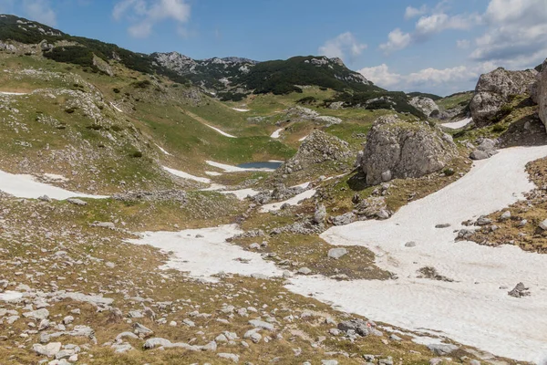 Sneeuwvlokken Nationaal Park Durmitor Montenegro — Stockfoto