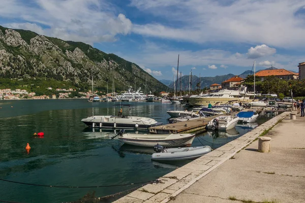 Kotor Montenegro Junio 2019 Barcos Kotor Marina Montenegro —  Fotos de Stock