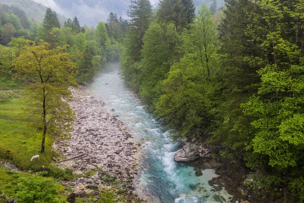 Fluss Koritnica Der Nähe Des Dorfes Bovec Slowenien Stockfoto