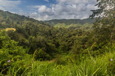 Cameron Highlands, Malezya 'nın manzarası
