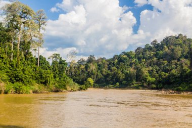 Taman Negara Ulusal Parkı 'ndaki Tembeling Nehri, Malezya