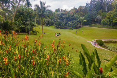 SINGAPORE, SINGAPORE - 11 Mart 2018 Singapur Botanik Bahçeleri 'ndeki çimenlikteki insanlar.