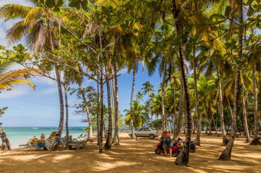 LAS TERRENAS, DOMINICAN CUMHURİYETİ - 4 Aralık 2018: Las Terrenas, Dominik Cumhuriyeti 'nde bir plajda palmiyeler