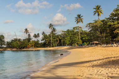 Las Galeras plajı, Dominik Cumhuriyeti
