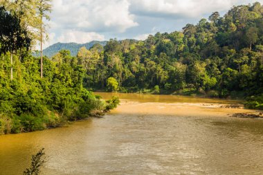 Taman Negara Ulusal Parkı 'ndaki Tembeling Nehri, Malezya