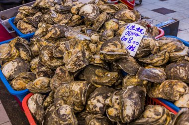Kota Kinabalu, Sabah, Malezya 'da istiridye satışı
