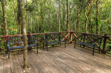 Dinlenme alanı Kinabalu Park, Sabah, Malezya