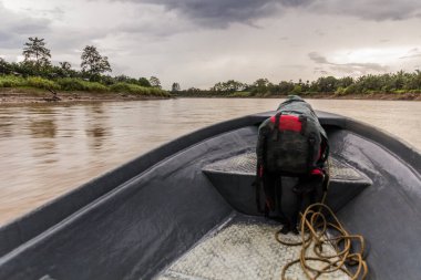 Kinabatangan nehri üzerinde seyahat eden bir tekneden görüntüler, Sabah, Malezya