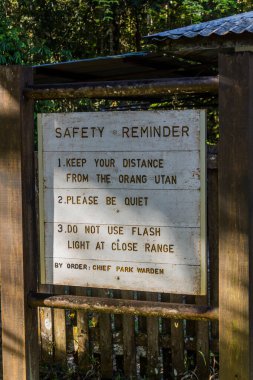 Semenggoh Doğa Koruma Alanı, Sarawak, Malezya