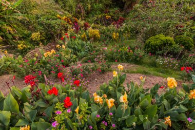 Penang Tepesi, Malezya 'nın yamaçlarında çiçek bahçesi