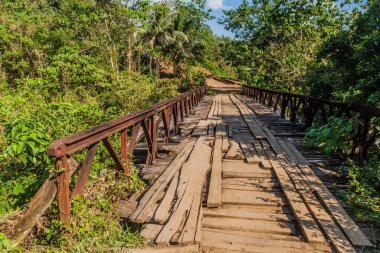 Filipinler 'deki Bohol adasında küçük bir köprüsü olan köy yolu.