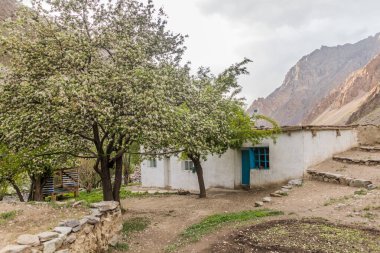 Tacikistan 'ın Pamir dağlarına bağlı Jizev (Jizeu, Geisev veya Jisev) köyü