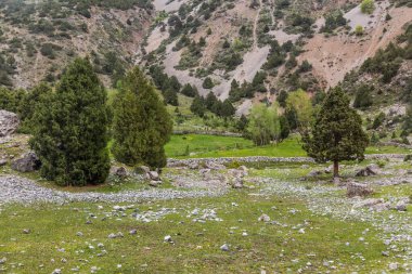 Fann Dağları, Tacikistan 'ın otlak arazisi