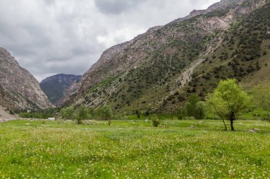 Fann dağlarındaki Artush köyü yakınlarındaki Urech vadisi, Tacikistan