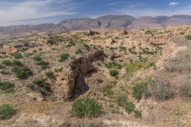 Tacikistan 'daki Antik Penjikent kalıntıları
