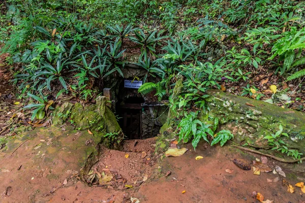 Eingang Einer Höhle Nationalpark Choco Der Nähe Von Cabarete Dominikanische — Stockfoto