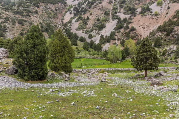 Krajobraz Pastwisk Gór Fann Tadżykistan — Zdjęcie stockowe