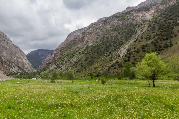 Fann dağlarındaki Artush köyü yakınlarındaki Urech vadisi, Tacikistan