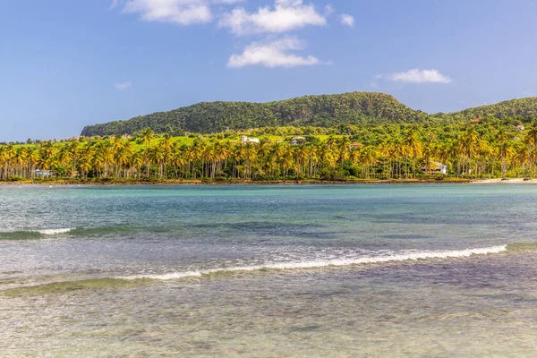 Costa Las Galeras República Dominicana — Foto de Stock