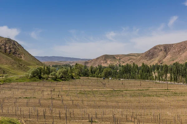 Vallée Montagne Dans Nord Tadjikistan — Photo