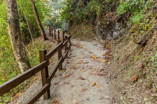 Caminho Para Salto Baiguate Cachoeira Perto Jarabacoa Cidade República Dominicana — Fotografia de Stock
