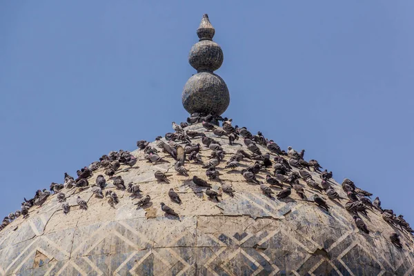 Pigeons Sur Coupole Mausolée Cheik Muslihiddin Massal Din Khujand Tadjikistan — Photo