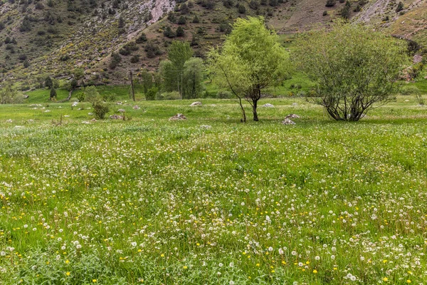 타지키스탄의 판산에 계곡의 — 스톡 사진