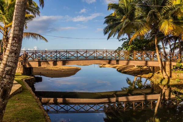 Puente Sobre Pequeño Arroyo Las Terrenas República Dominicana —  Fotos de Stock