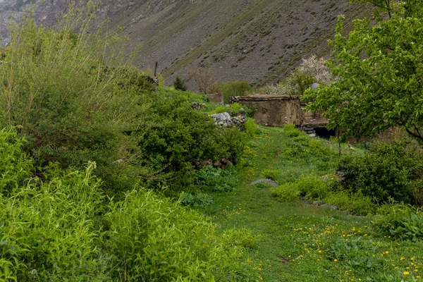 Wioska Jizev Jizeu Geisev Lub Jisev Górach Pamir Tadżykistan — Zdjęcie stockowe