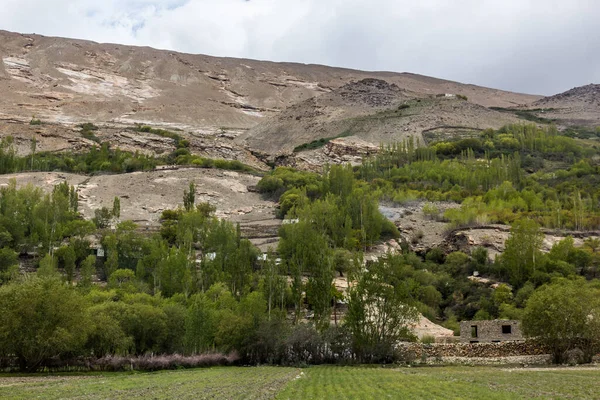 Aldeia Vale Wakhan Tajiquistão — Fotografia de Stock