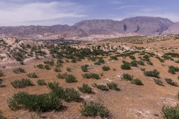 Landscape Penjikent Tajikistan — Stock Photo, Image