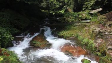 Hunan, Çin 'deki Zhangjiajie Ulusal Orman Parkı' ndaki Golden Whip deresinin görüntüsü