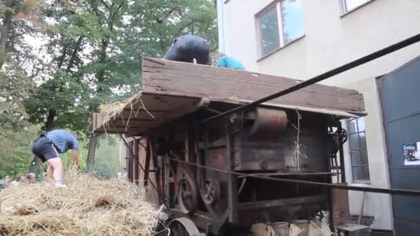 Перегородка зерна в дерев "яному молотильнику. — стокове відео